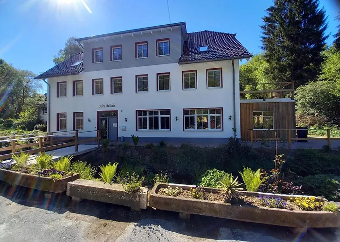 Alte Mühle